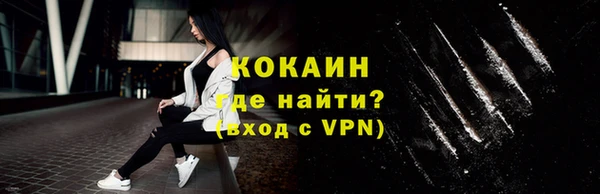 молекула духа Арсеньев