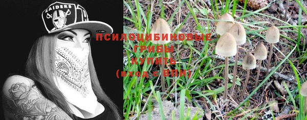 молекула духа Арсеньев