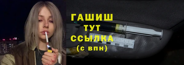 молекула духа Арсеньев
