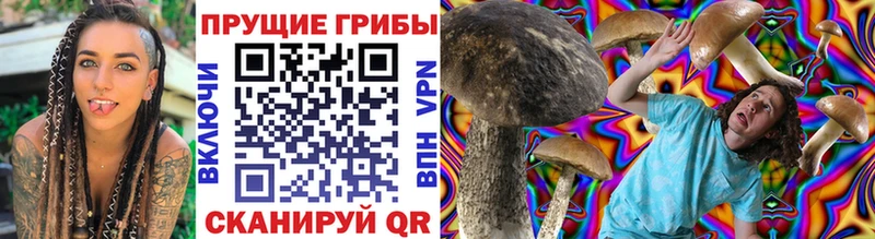 Псилоцибиновые грибы мухоморы  Николаевск 